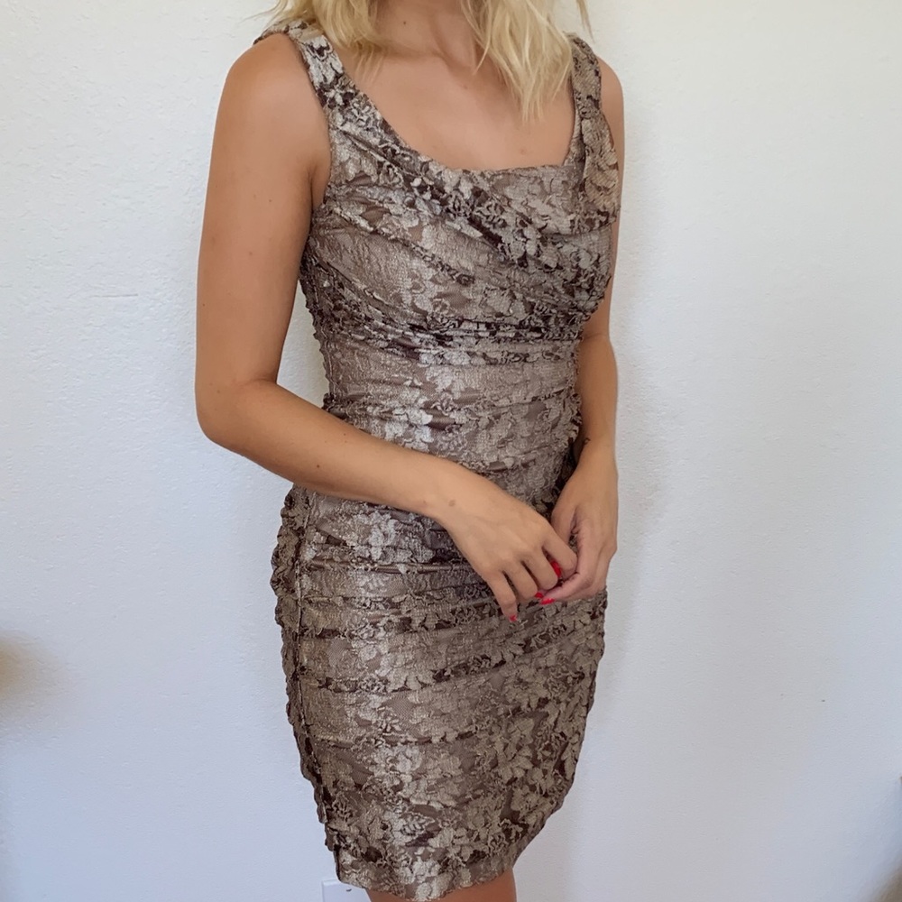 Express Champagne lace cocktail dress